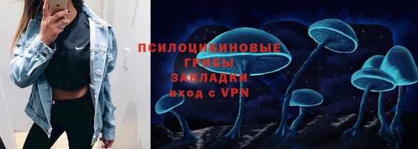 ГАЛЛЮЦИНОГЕННЫЕ ГРИБЫ Алексин
