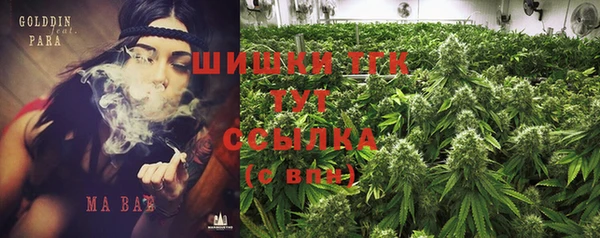 ГАЛЛЮЦИНОГЕННЫЕ ГРИБЫ Алексин