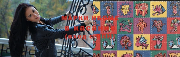 ГАЛЛЮЦИНОГЕННЫЕ ГРИБЫ Алексин
