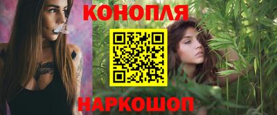 стаф Пенза