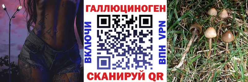 купить  сайты  Советская Гавань  Галлюциногенные грибы мицелий 
