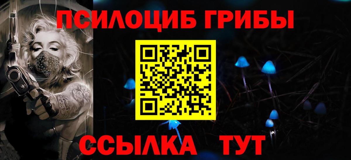 Советская Гавань  Псилоцибиновые грибы мухоморы  Вход с VPN 
